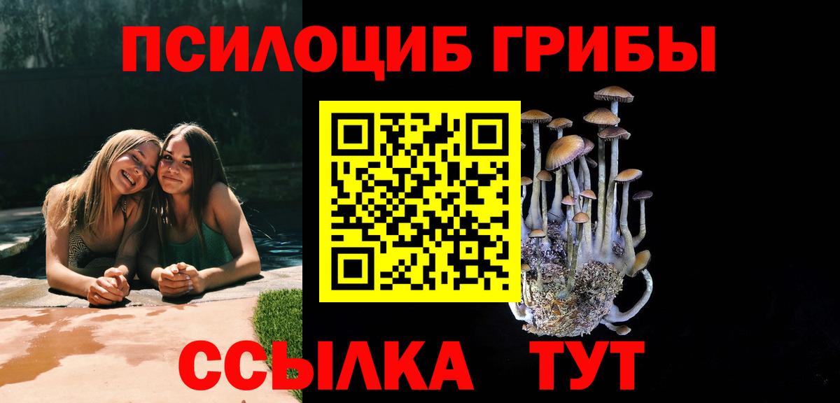 Псилоцибиновые грибы мицелий Лобня